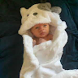 Meet your Posher, Robin